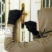 انهدام باند حرفه‌ای در جویبار با ۵۰ فقره سرقت