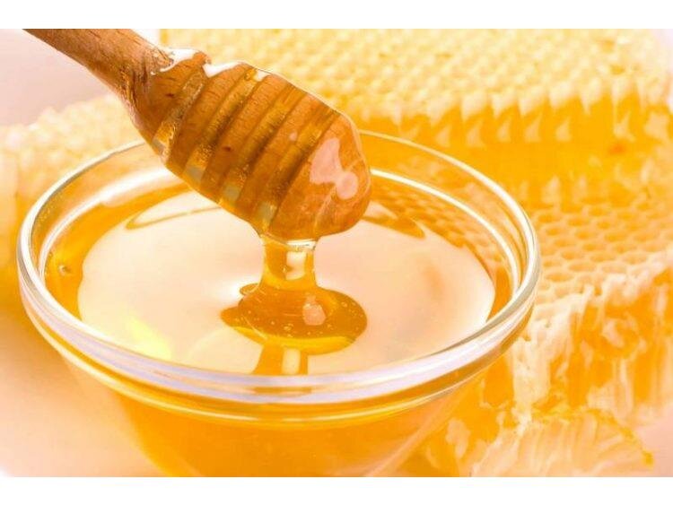 تولید ۴۵۷ تن عسل در ساری