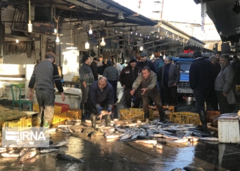 گرمی بازار یلدای مازندران با کاهش قیمت ماهیان دریایی