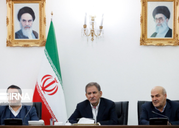 جهانگیری: حفاظت از تالاب میانکاله و خلیج‌گرگان نیازمند طرحی جامع است