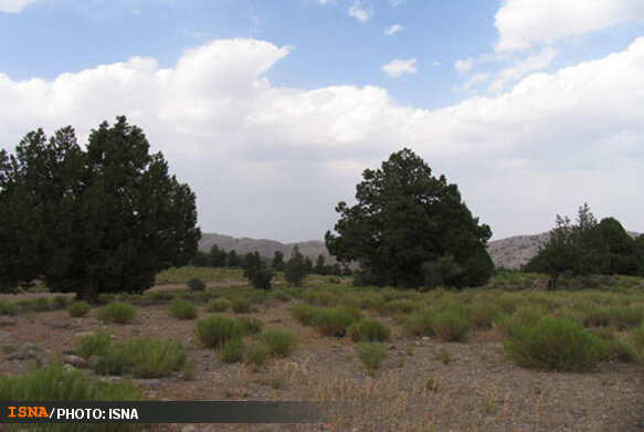 خلع ید ۵۳ هکتار از اراضی ملی در شهرستان جویبار