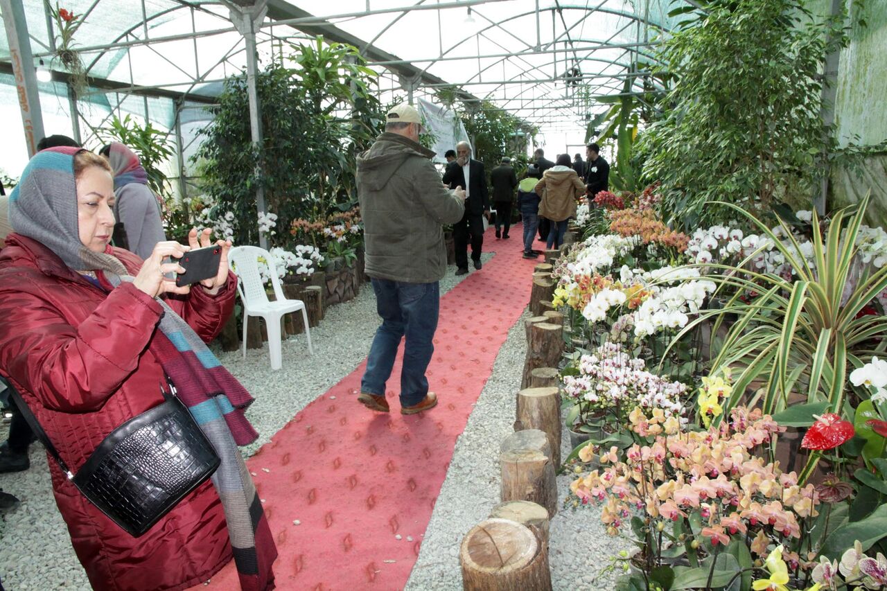بازدید ۳۵ هزار نفر از پنجمین جشنواره ملی گل ارکیده در نوشهر