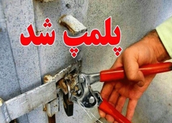۵۰ واحد صنفی مختلف درآمل پلمپ شد