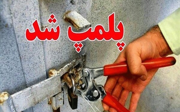 ۵۰ واحد صنفی مختلف درآمل پلمپ شد