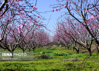 ایسنا - طبیعت بهاری - مازندران