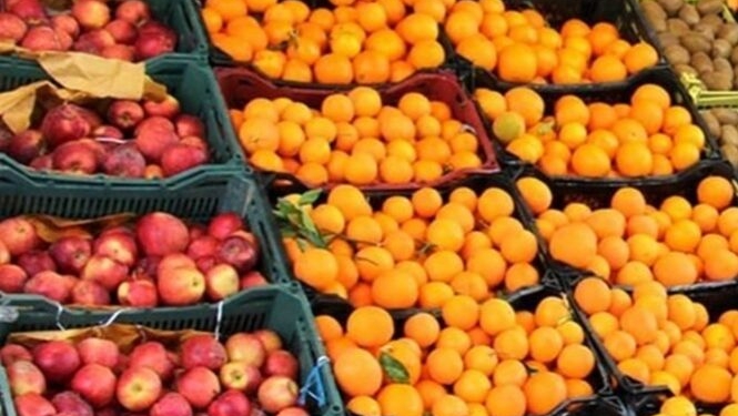 توزیع یکهزار تن پرتقال و سیب شب عید در مازندران آغاز شد
