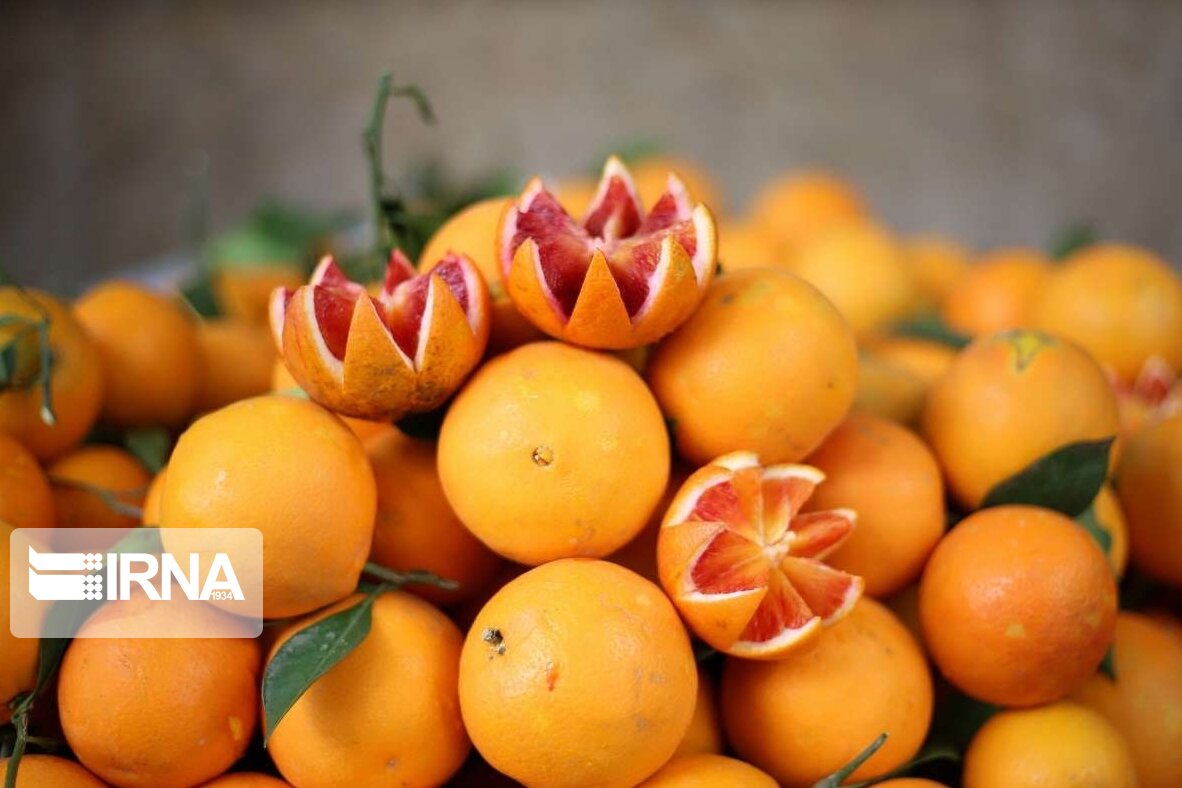 قیمت پرتقال مازندران بالاتر از تنظیم بازار عرضه نمی‌شود