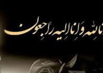 مادر طلبه شهید غلامعلی فاضلی به فرزند شهیدش پیوست