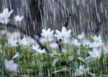 دوشنبه‌ای بارانی در مازندران