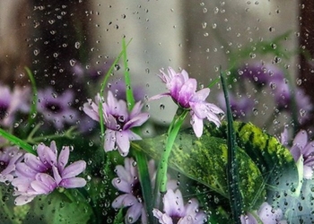 رگبارهای بهاری مهمان آسمان مازندران