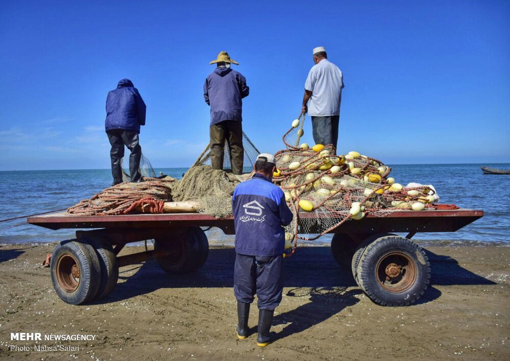 فصل صید و صیادی در مازندران به پایان رسید/ صید ۳۶۰۰ تن ماهی