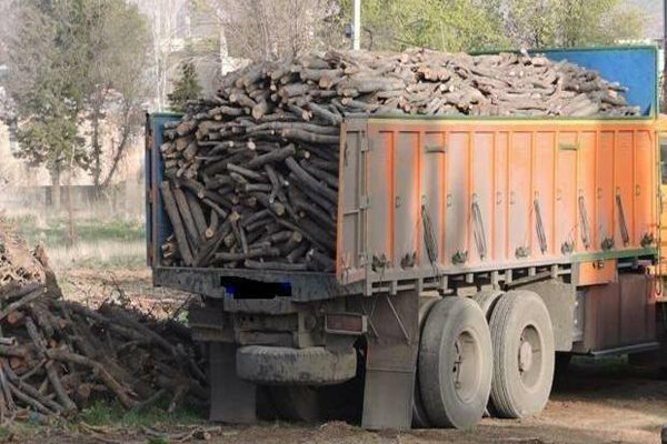 ۱۰۰ فقره پرونده قاچاق چوب در مازندران تشکیل شد