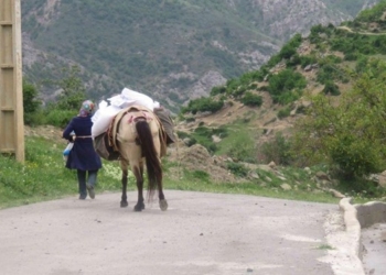 پای اسب‌های تعزیه به کمک‌مؤمنانه باز شد/ توزیع بسته‌های معیشتی در روستاهای رانشی+ تصاویر
