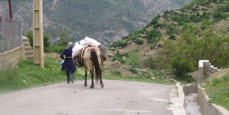 پای اسب‌های تعزیه به کمک‌مؤمنانه باز شد/ توزیع بسته‌های معیشتی در روستاهای رانشی+ تصاویر