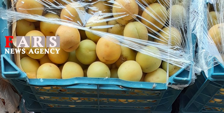بازار میوه مازندران از نوبرانه‌ها پُر شد