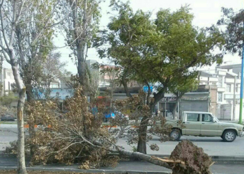 خسارت ۶۲۰ میلیارد ریالی تندباد در سوادکوه شمالی