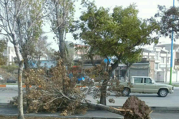 خسارت ۶۲۰ میلیارد ریالی تندباد در سوادکوه شمالی