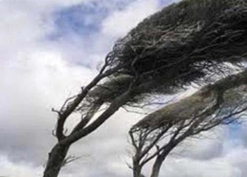 تندباد به بخش مسکن و برق در آمل خسارت زد/ قطع برق ۴۰ روستا