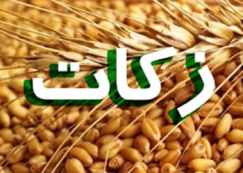 میزان درآمدهای زکات در مازندران ۴۳ درصد رشد یافت