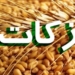 میزان درآمدهای زکات در مازندران ۴۳ درصد رشد یافت