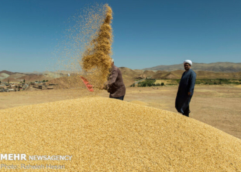 افزاییش ۴۳ درصدی جمع آوری زکات در مازندران