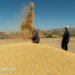 افزاییش ۴۳ درصدی جمع آوری زکات در مازندران