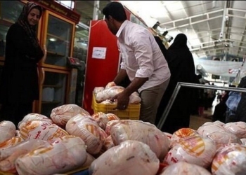 نرخ هر کیلوگرم مرغ در مازندران ۱۵ هزار تومان تعیین شد