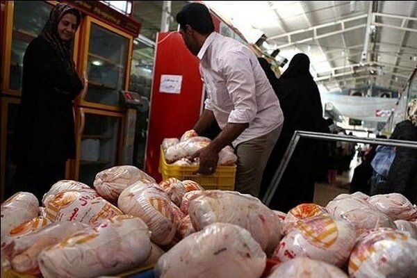نرخ هر کیلوگرم مرغ در مازندران ۱۵ هزار تومان تعیین شد