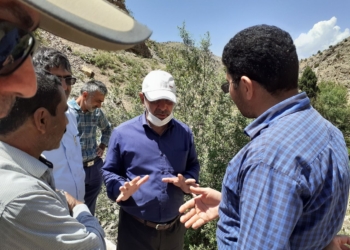 بازدید معاون عمرانی فرمانداری ساری از پشتکوه چهاردانگه