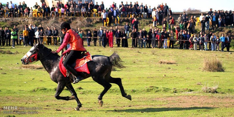 اسب‌دوانی کرونا روی جان مردم/ توبیخ برگزارکنندگان جشنواره اسب توسط استاندار مازندران