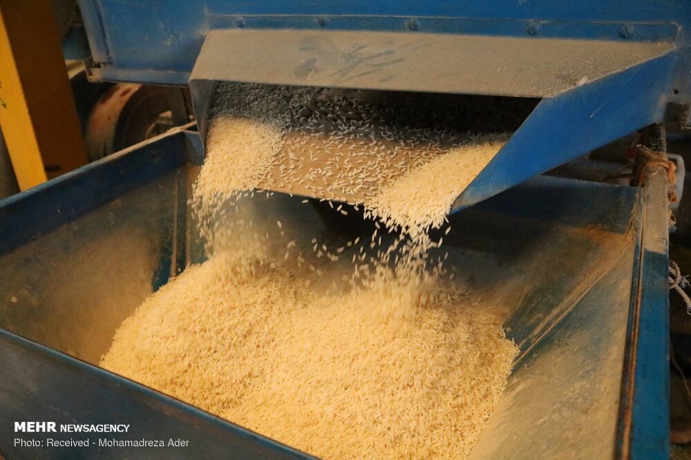 برداشت مکانیزه برنج در مازندران افزایش یافت