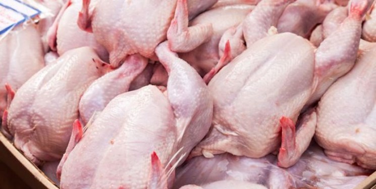 نهاده‌های وارداتی قیمت مرغ را بالا می‌برند/ آخرین قیمت مرغ در بازار مازندران