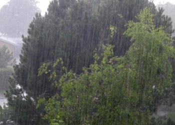 افزایش 21 درصدی بارش باران در مازندران