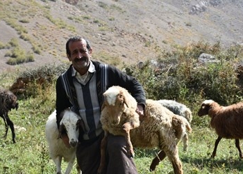 دریچه ای از زیبایی های روستای بالاکوه نشل