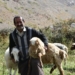 دریچه ای از زیبایی های روستای بالاکوه نشل