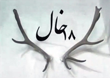 فیلم | مستند « ۱۸ خال » – جستجوی نشانی از مرال های چهاردانگه