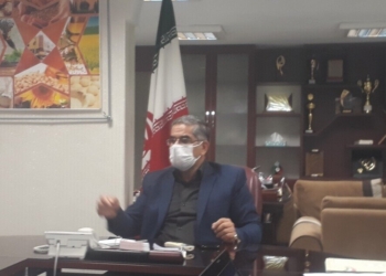 مازندران نیازمند ۴۸۰ هزار تن گندم در سال است