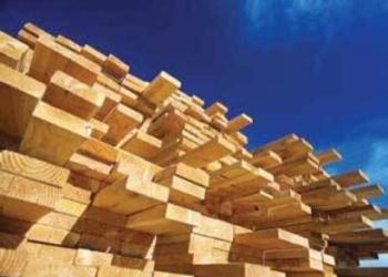 ۳۱ هزار تن واردات چوب در مازندران انجام شد