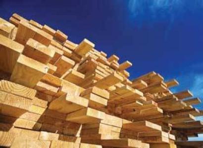 ۳۱ هزار تن واردات چوب در مازندران انجام شد
