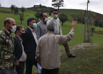 برخورد قاطع دستگاه قضایی با ساخت و سازهای غیرمجاز در اراضی ملی و کشاورزی آمل