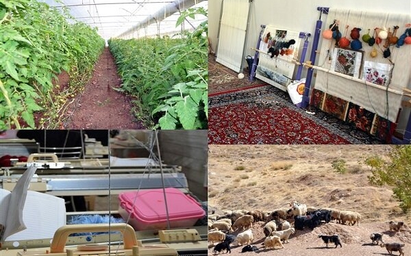 گام های مثبتی برای کارآفرینی در روستاهای مازندران برداشته شد