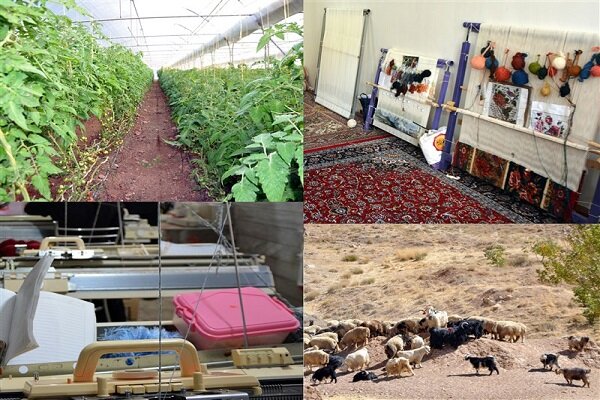 گام های مثبتی برای کارآفرینی در روستاهای مازندران برداشته شد