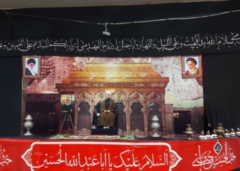 شیعه و محب حسین (ع) نجابت را از مولایش آموخته است