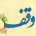 شناسایی ۷۲۴ عالم واقف/ مازندران بیشترین تعداد رقبات را دارد