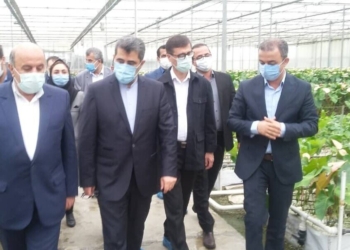 ۳ دستور جدی رفع موانع تولید/ ۲۰۰۰ واحد راکد درراه بازگشت به تولید
