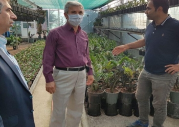 احداث 160 واحد گلخانه کوچک مقیاس تولید لیموترش و گل و گیاه در قائم‌شهر