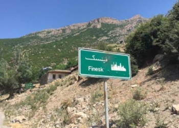 گفت‌وگوی فنی کارشناسان؛ راهکار بنیادی حل اختلاف سد فینسک