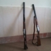 دستگیری ۳شکارچی غیرمجاز در چهاردانگه