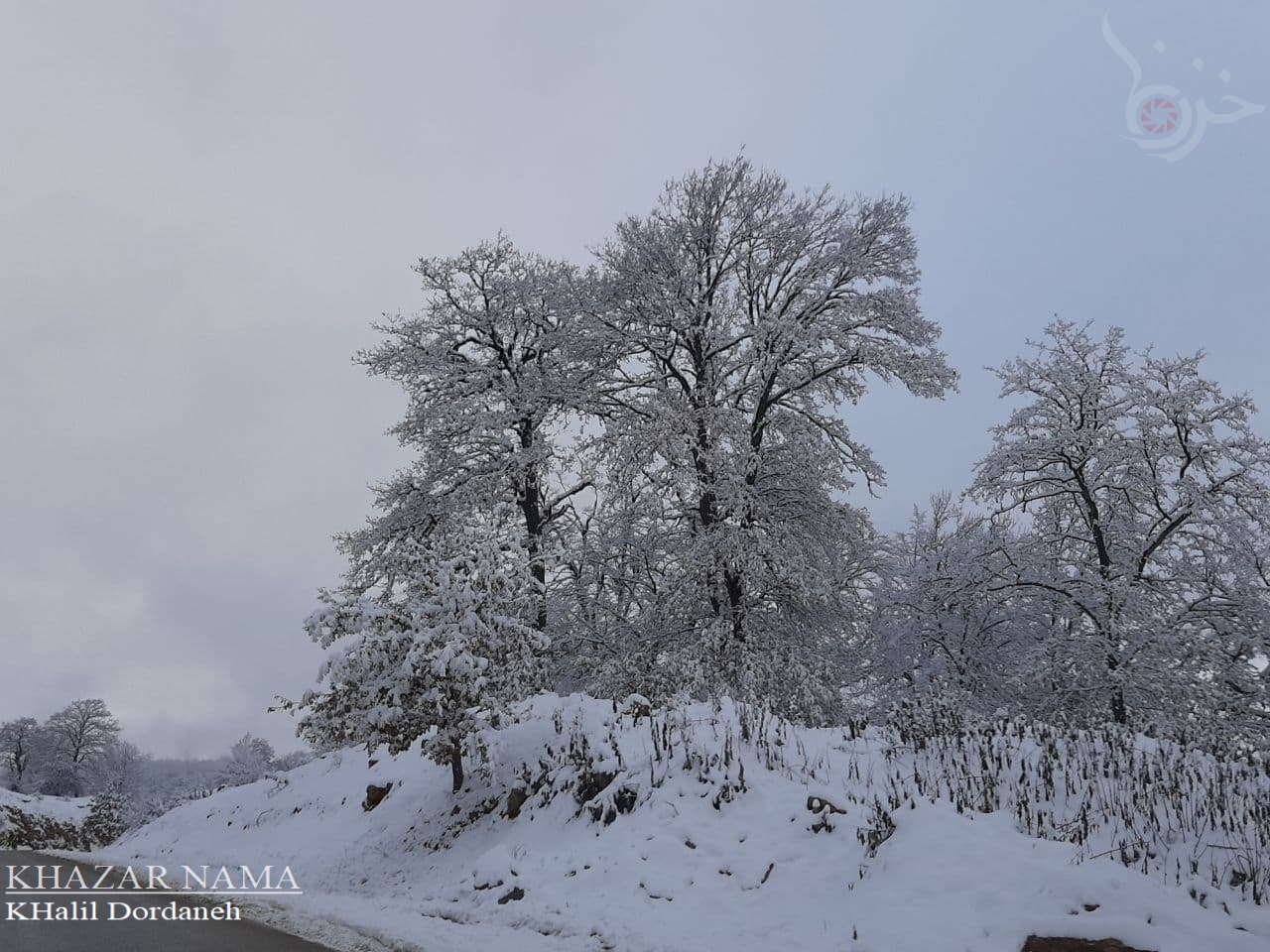 گزارش تصویری از بارش برف پاییزی در بخش چهاردانگه