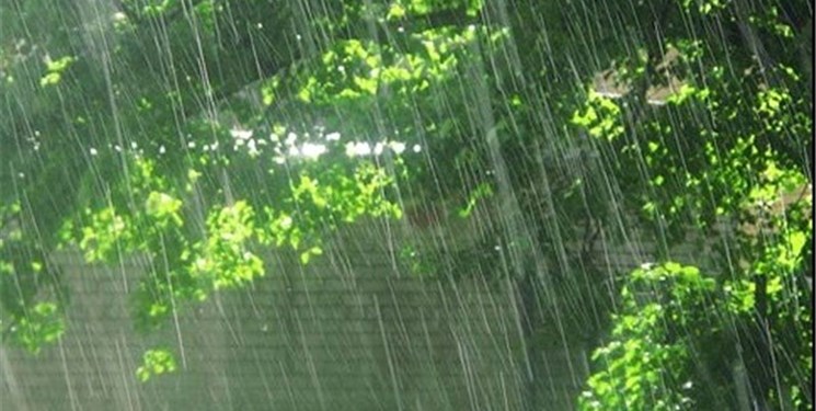 جزئیات خسارت‌های باد و بارش‌های زمستانی در مازندران/ وزش باد با سرعت 94 کیلومتر در دشت‌ناز